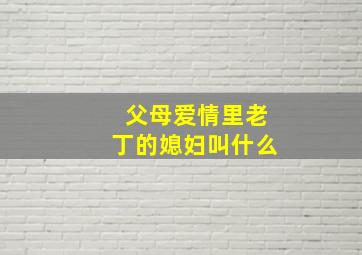 父母爱情里老丁的媳妇叫什么