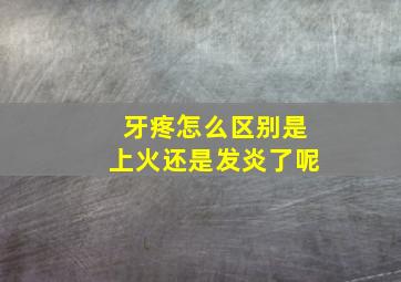 牙疼怎么区别是上火还是发炎了呢