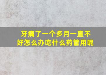 牙痛了一个多月一直不好怎么办吃什么药管用呢