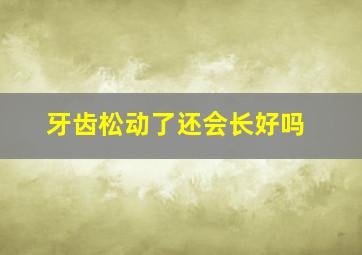 牙齿松动了还会长好吗