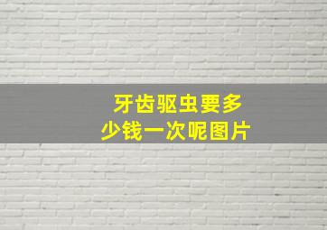 牙齿驱虫要多少钱一次呢图片