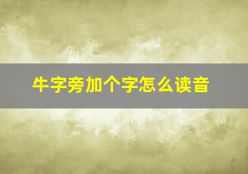 牛字旁加个字怎么读音