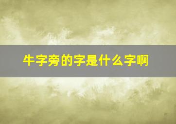 牛字旁的字是什么字啊