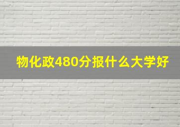 物化政480分报什么大学好