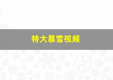 特大暴雪视频