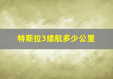 特斯拉3续航多少公里