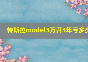 特斯拉model3万开3年亏多少