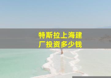 特斯拉上海建厂投资多少钱