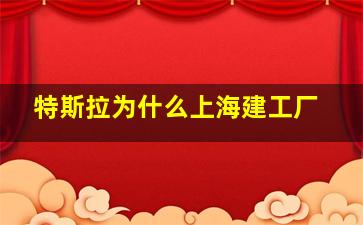 特斯拉为什么上海建工厂