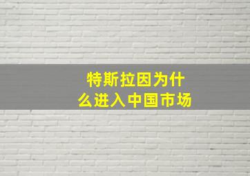 特斯拉因为什么进入中国市场