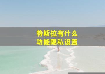 特斯拉有什么功能隐私设置