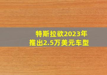 特斯拉欲2023年推出2.5万美元车型