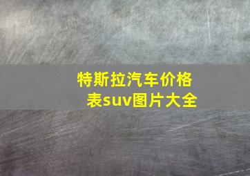 特斯拉汽车价格表suv图片大全