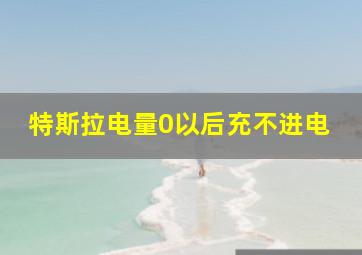 特斯拉电量0以后充不进电