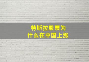 特斯拉股票为什么在中国上涨