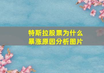 特斯拉股票为什么暴涨原因分析图片