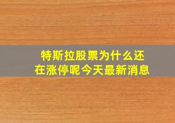 特斯拉股票为什么还在涨停呢今天最新消息