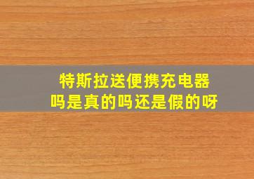 特斯拉送便携充电器吗是真的吗还是假的呀