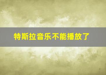 特斯拉音乐不能播放了