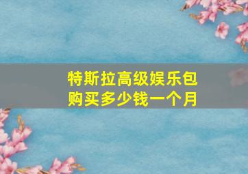 特斯拉高级娱乐包购买多少钱一个月