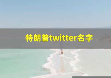 特朗普twitter名字