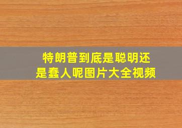 特朗普到底是聪明还是蠢人呢图片大全视频