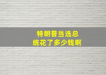 特朗普当选总统花了多少钱啊