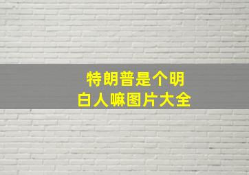 特朗普是个明白人嘛图片大全