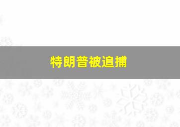 特朗普被追捕