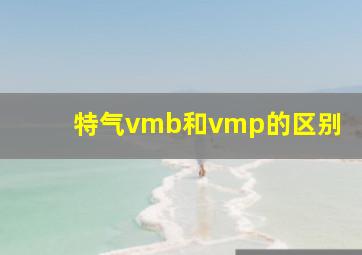 特气vmb和vmp的区别