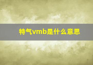 特气vmb是什么意思