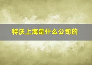 特沃上海是什么公司的