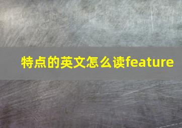 特点的英文怎么读feature