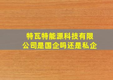 特瓦特能源科技有限公司是国企吗还是私企