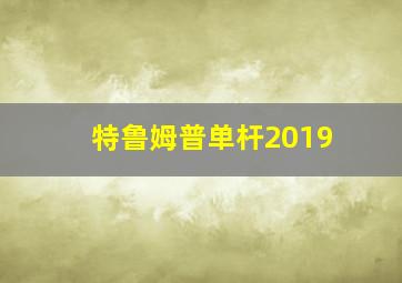 特鲁姆普单杆2019