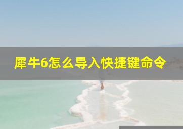 犀牛6怎么导入快捷键命令