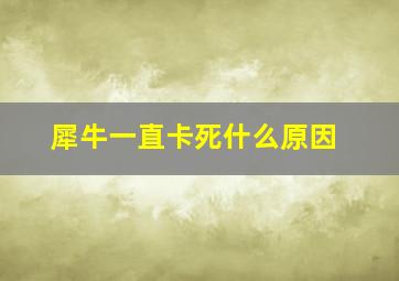 犀牛一直卡死什么原因