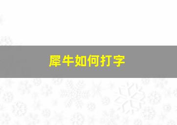 犀牛如何打字