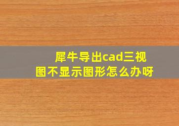 犀牛导出cad三视图不显示图形怎么办呀