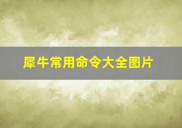 犀牛常用命令大全图片