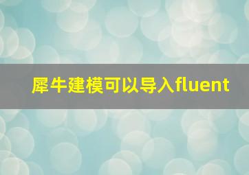 犀牛建模可以导入fluent