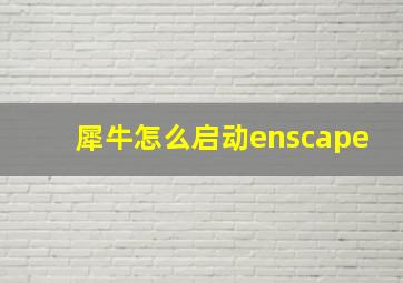 犀牛怎么启动enscape