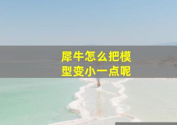 犀牛怎么把模型变小一点呢