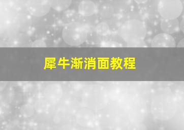 犀牛渐消面教程