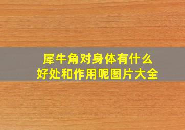 犀牛角对身体有什么好处和作用呢图片大全