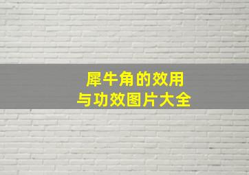 犀牛角的效用与功效图片大全