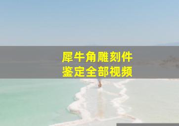 犀牛角雕刻件鉴定全部视频