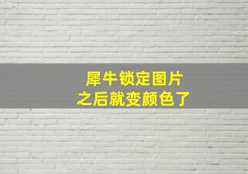 犀牛锁定图片之后就变颜色了