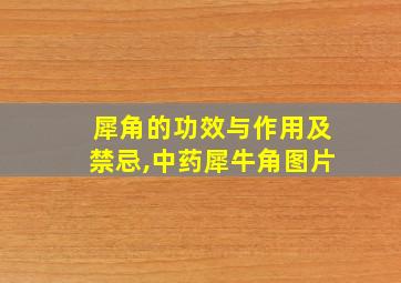 犀角的功效与作用及禁忌,中药犀牛角图片