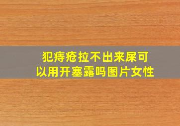 犯痔疮拉不出来屎可以用开塞露吗图片女性